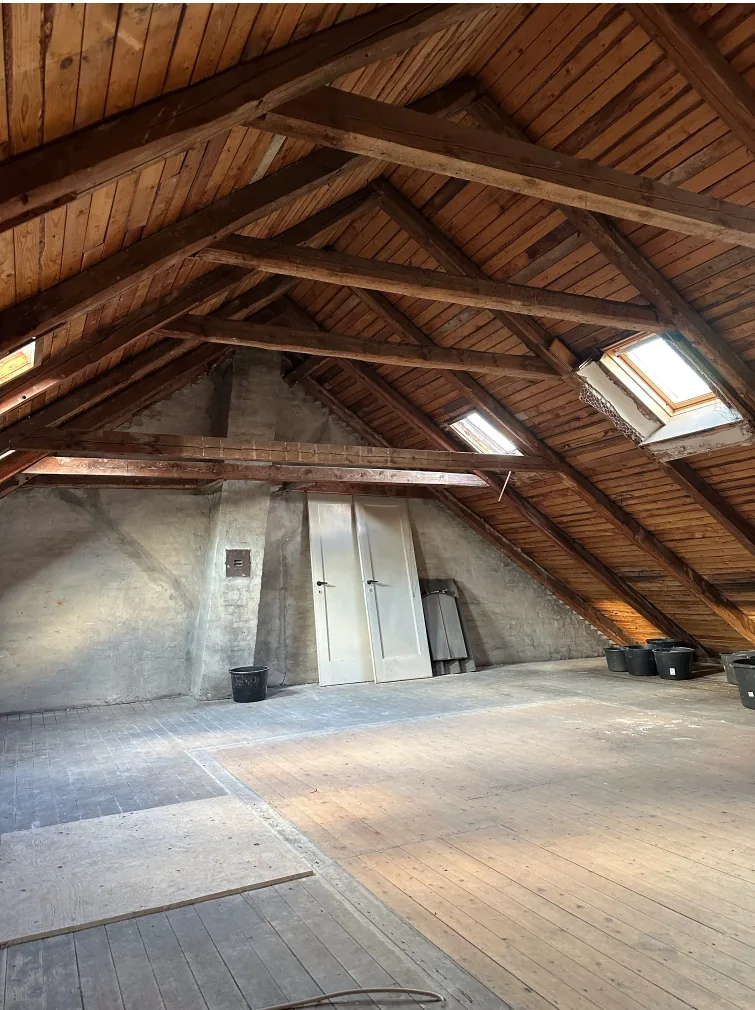 Existing roof structure